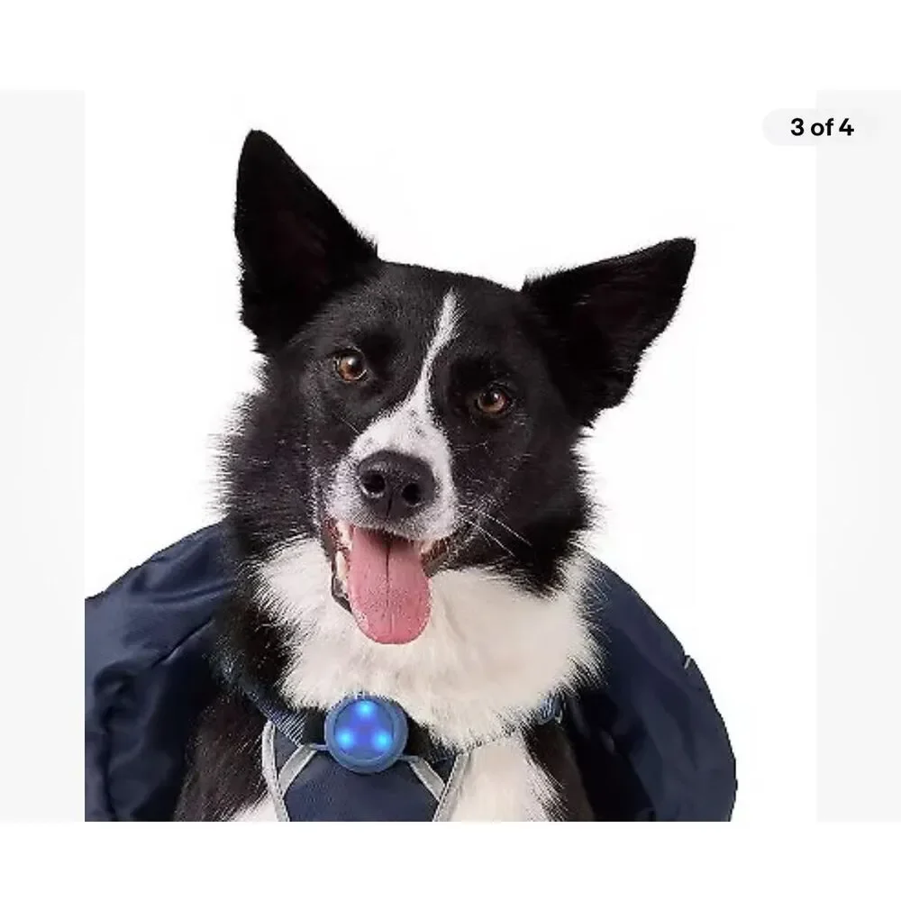 NEW Dog Backpack Harness Dark Blue The Cuddle Collab L up to 90lbs